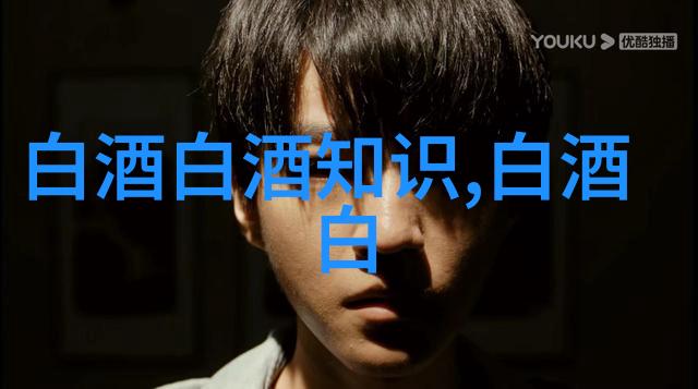 2024年古井贡酒8226年份原浆全球经销商大会隆重举行