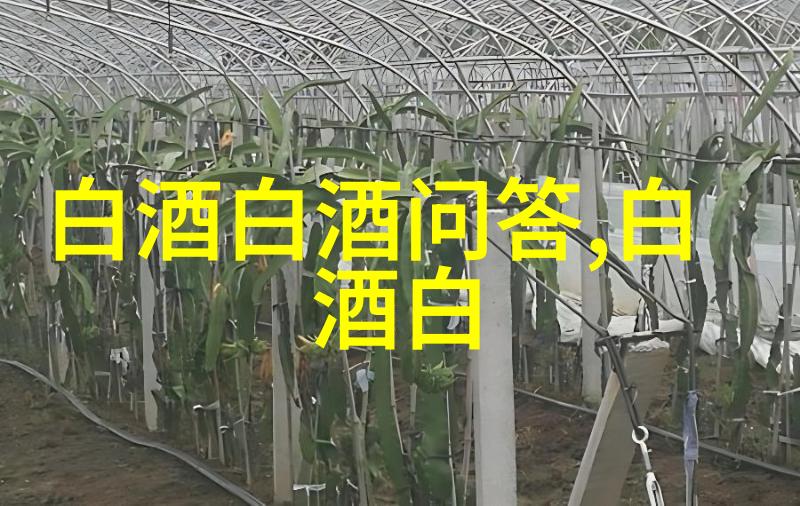 黄酒可以加热喝吗黄酒可以加热喝吗